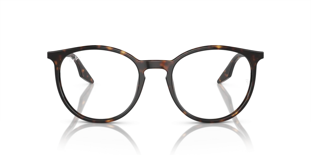 Ray-Ban 0RB2204F 902/GJ