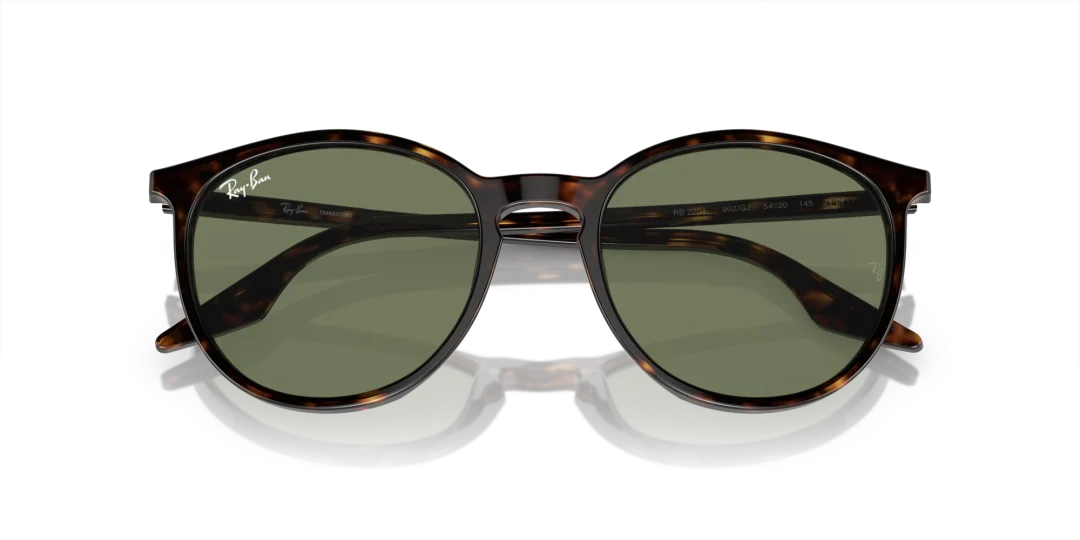 Ray-Ban 0RB2204F 902/GJ