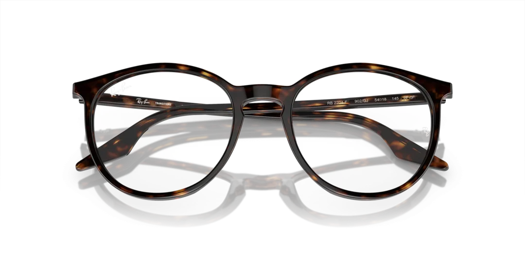 Ray-Ban 0RB2204F 902/GJ