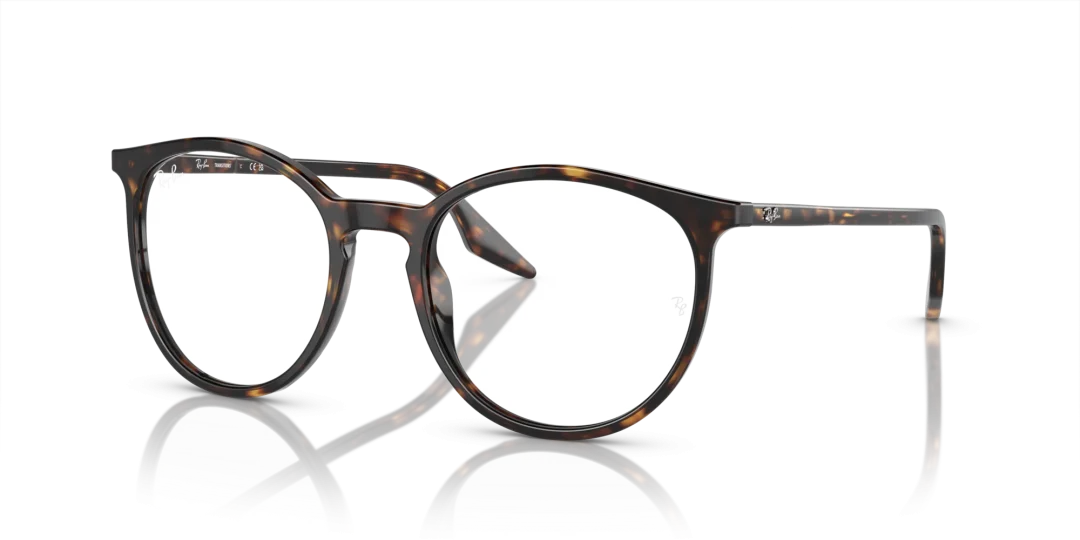 Ray-Ban 0RB2204F 902/GJ