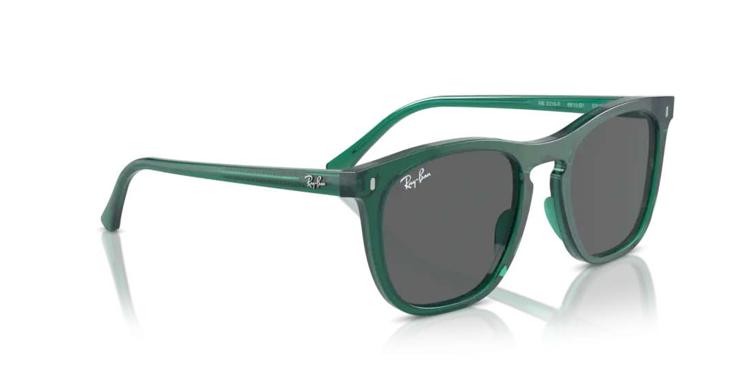 Ray-Ban 0RB2210F 6615B1
