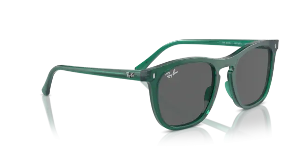 Ray-Ban 0RB2210F 6615B1