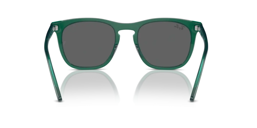 Ray-Ban 0RB2210F 6615B1