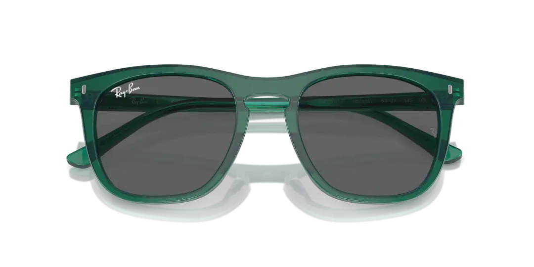 Ray-Ban 0RB2210F 6615B1