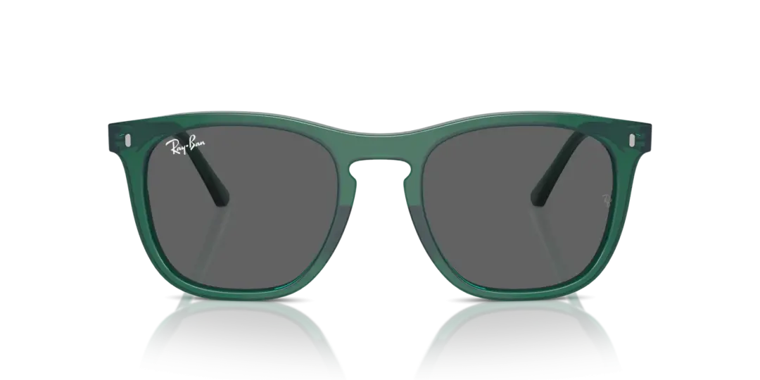 Ray-Ban 0RB2210F 6615B1
