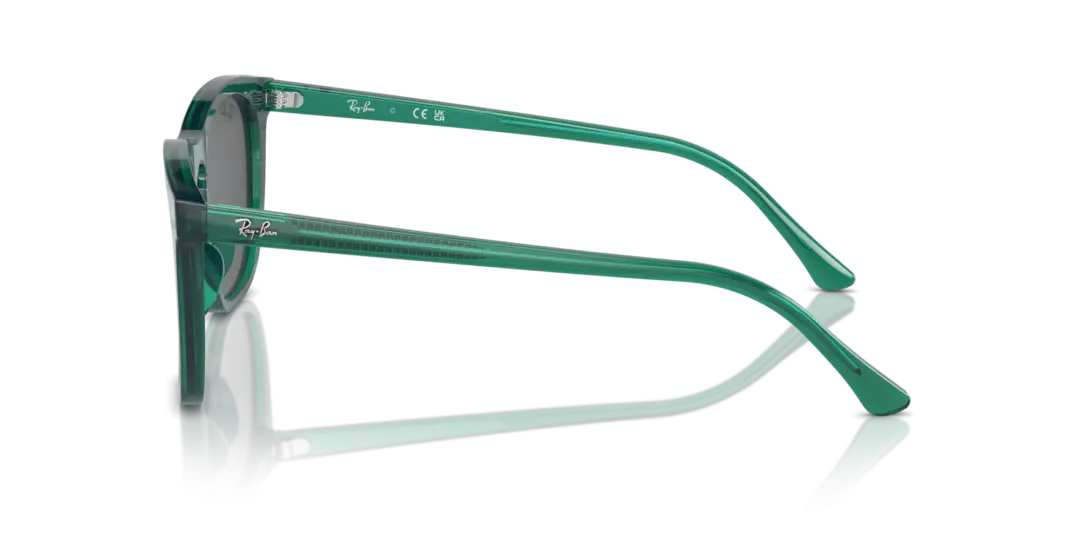 Ray-Ban 0RB2210F 6615B1