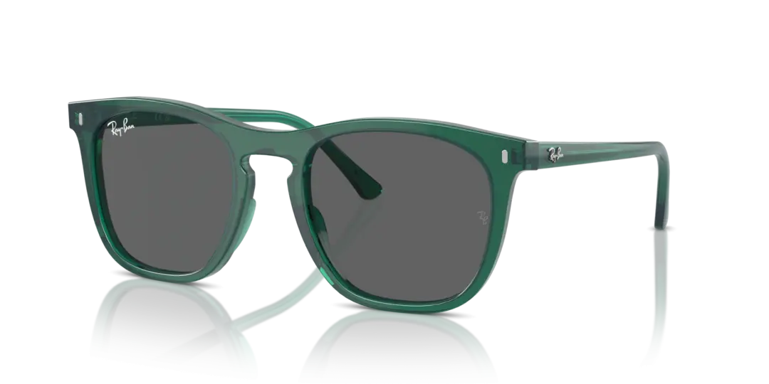 Ray-Ban 0RB2210F 6615B1