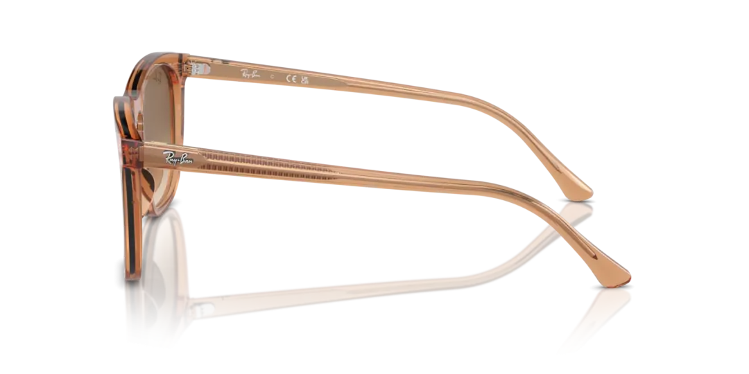 Ray-Ban 0RB2210F 676451