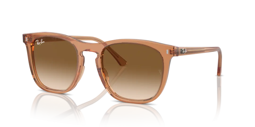 Ray-Ban 0RB2210F 676451