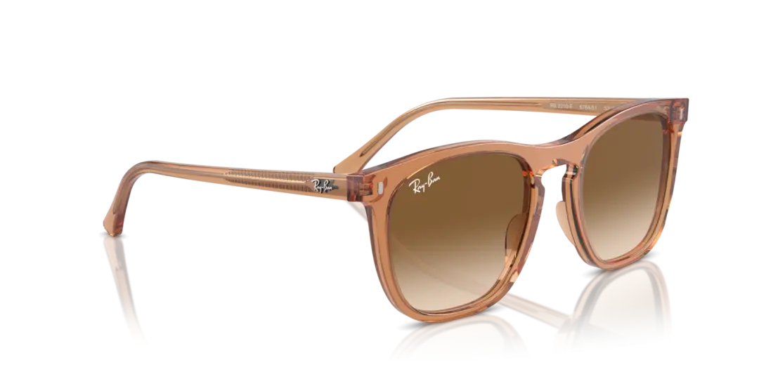 Ray-Ban 0RB2210F 676451