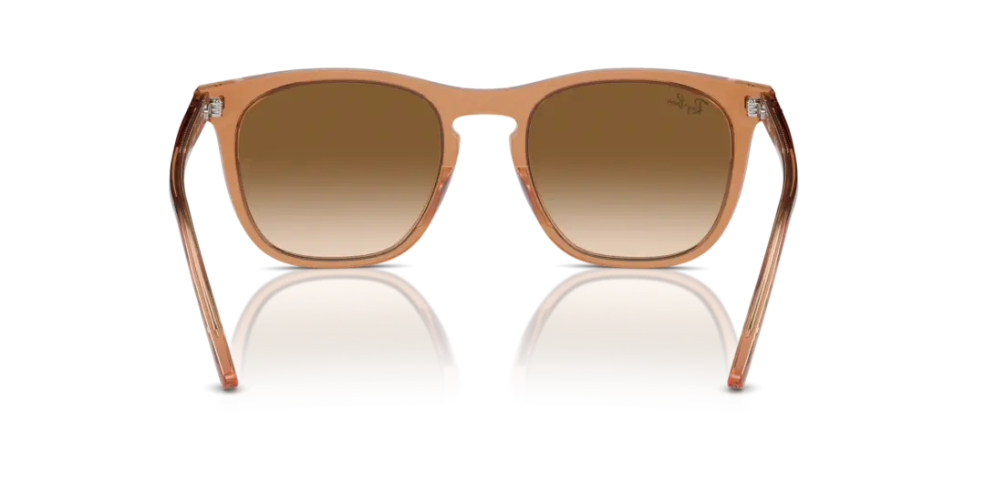 Ray-Ban 0RB2210F 676451