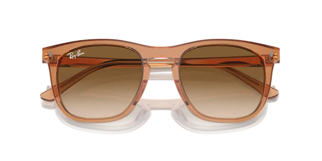 Ray-Ban 0RB2210F 676451