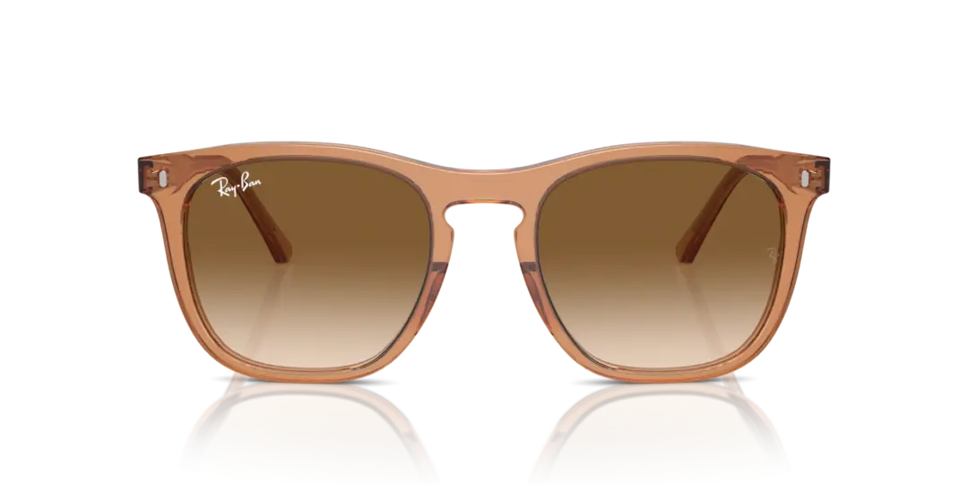 Ray-Ban 0RB2210F 676451