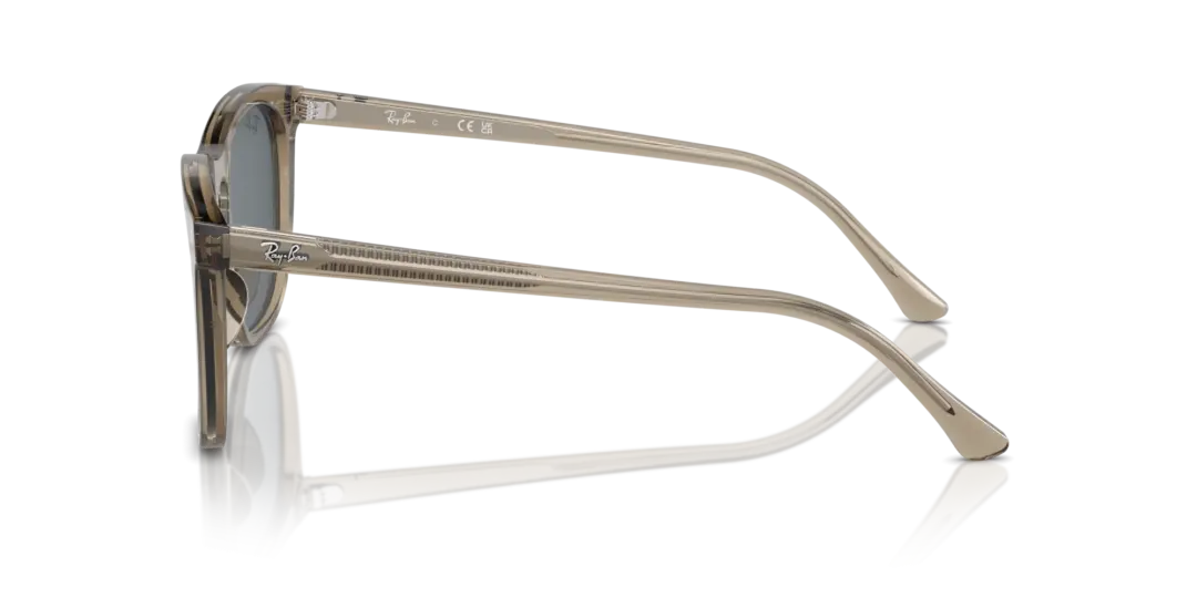 Ray-Ban 0RB2210F 6765R5