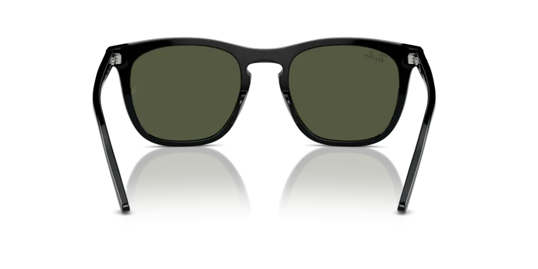 Ray-Ban 0RB2210F 901/31
