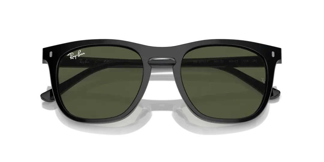 Ray-Ban 0RB2210F 901/31