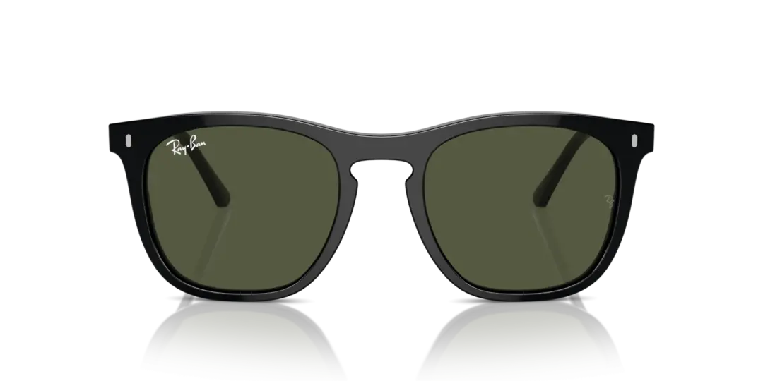 Ray-Ban 0RB2210F 901/31