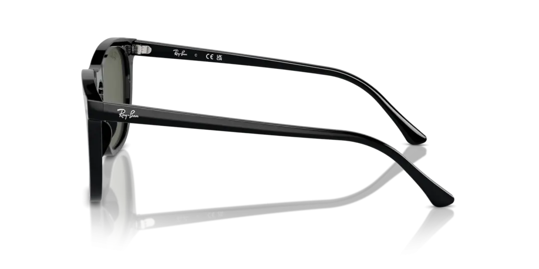 Ray-Ban 0RB2210F 901/31