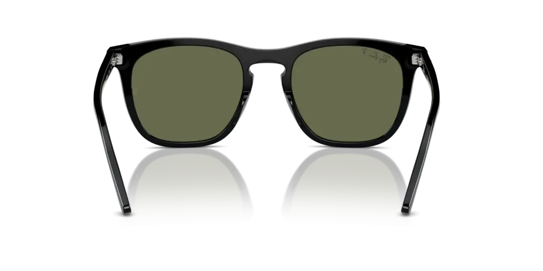 Ray-Ban 0RB2210F 901/58