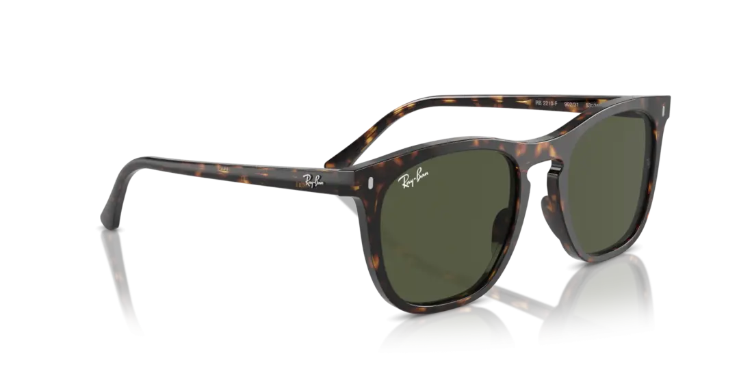 Ray-Ban 0RB2210F 902/31