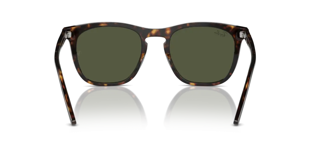 Ray-Ban 0RB2210F 902/31
