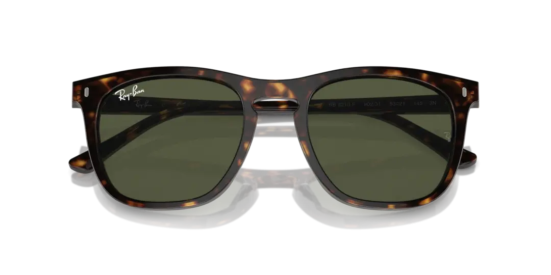 Ray-Ban 0RB2210F 902/31