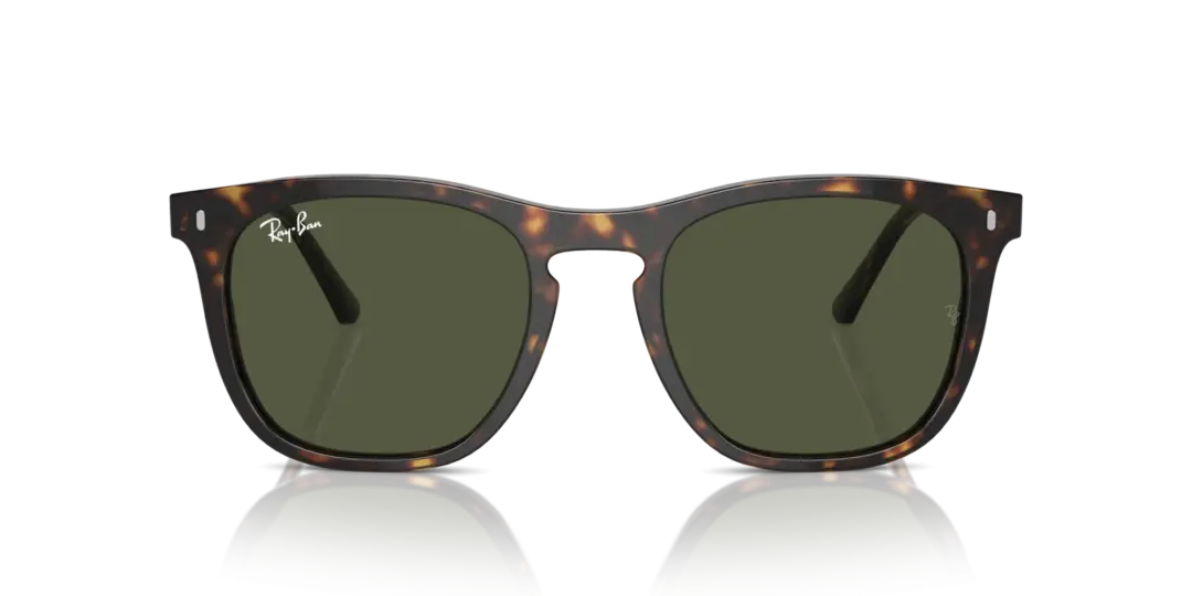 Ray-Ban 0RB2210F 902/31