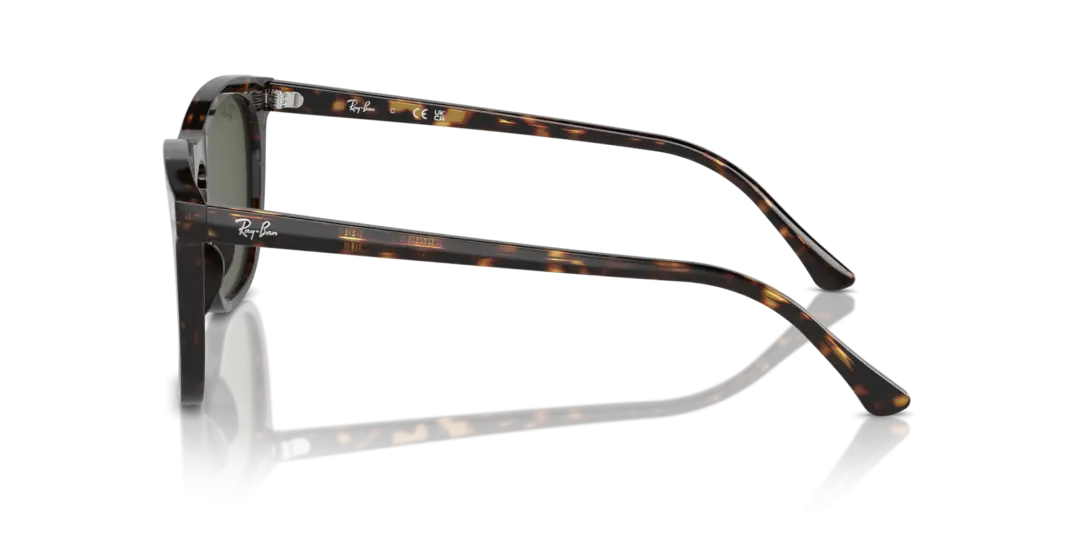 Ray-Ban 0RB2210F 902/31