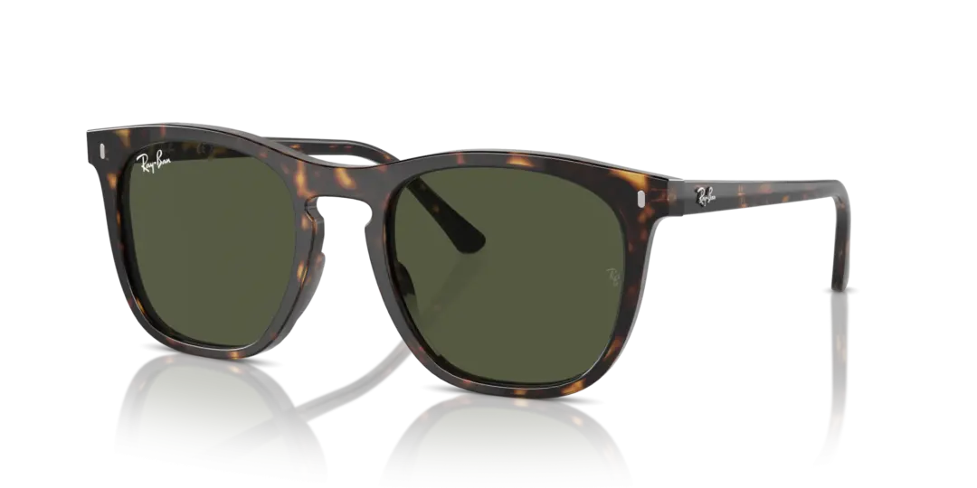 Ray-Ban 0RB2210F 902/31