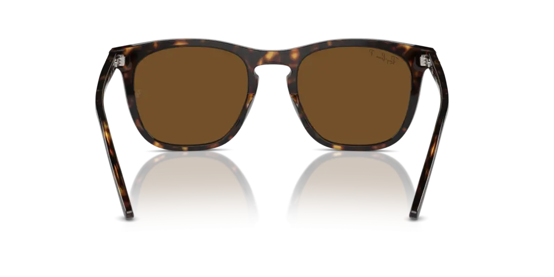 Ray-Ban 0RB2210F 902/57