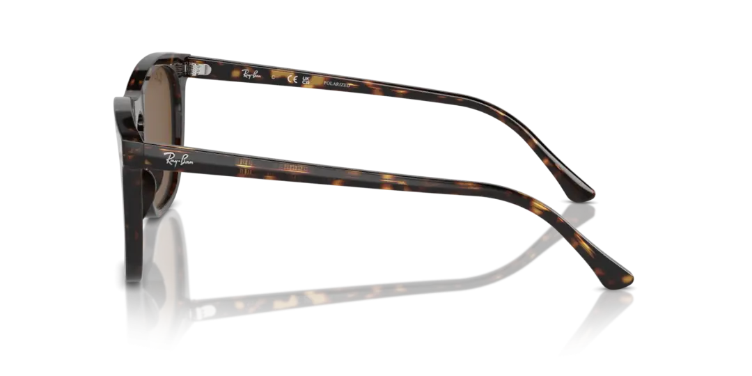 Ray-Ban 0RB2210F 902/57