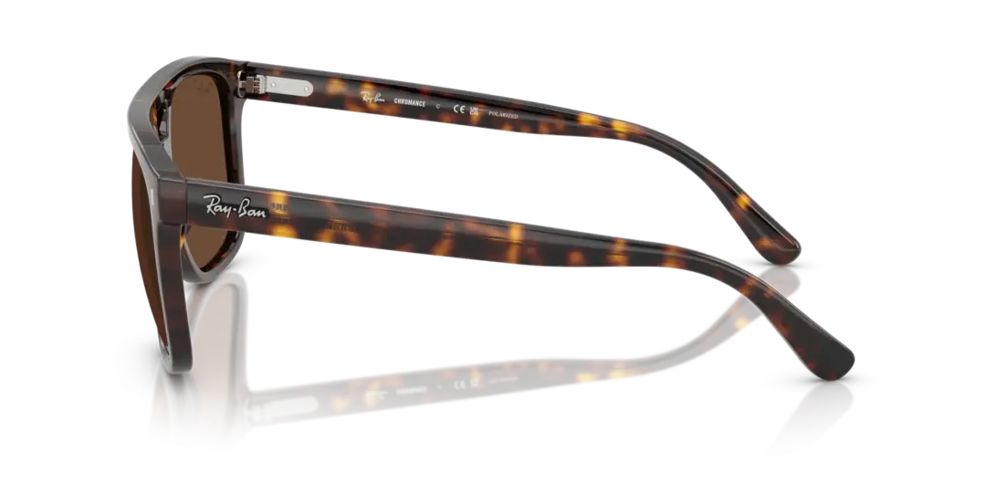 Ray-Ban 0RB2213CH 902/AN