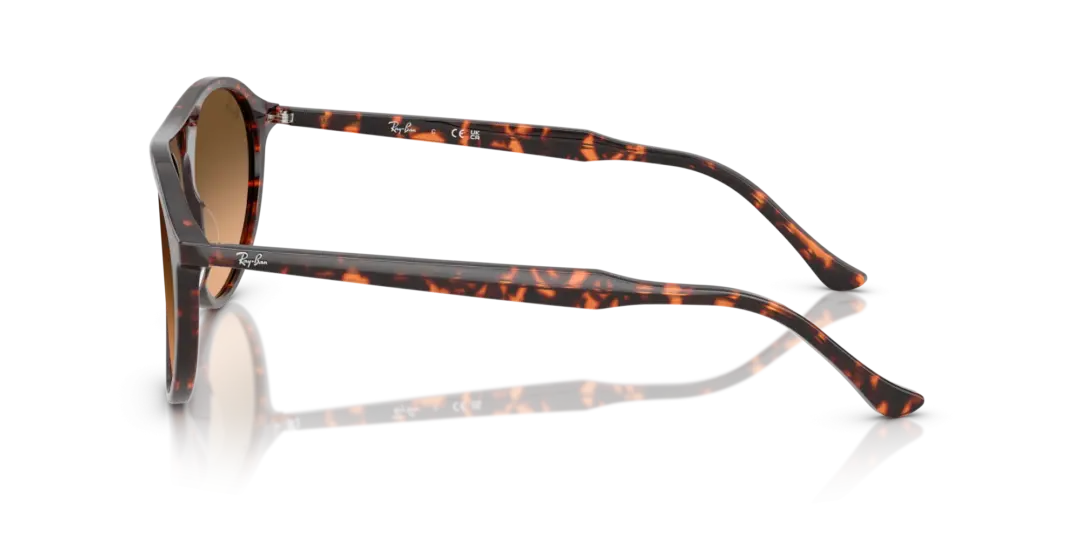 Ray-Ban 0RB2215F 14293B