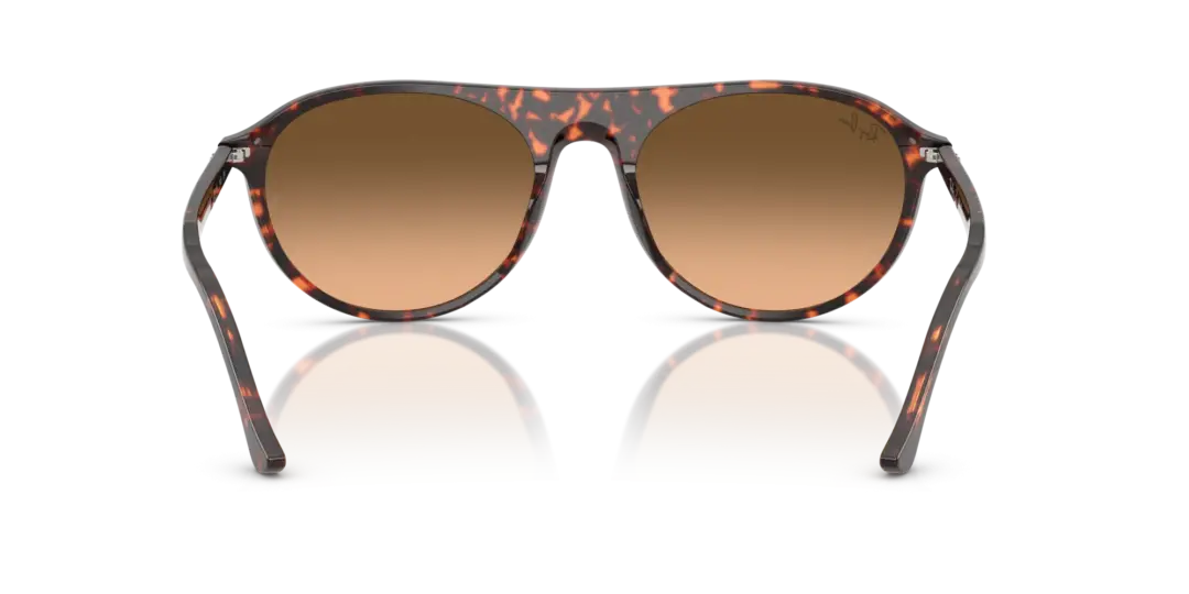 Ray-Ban 0RB2215F 14293B