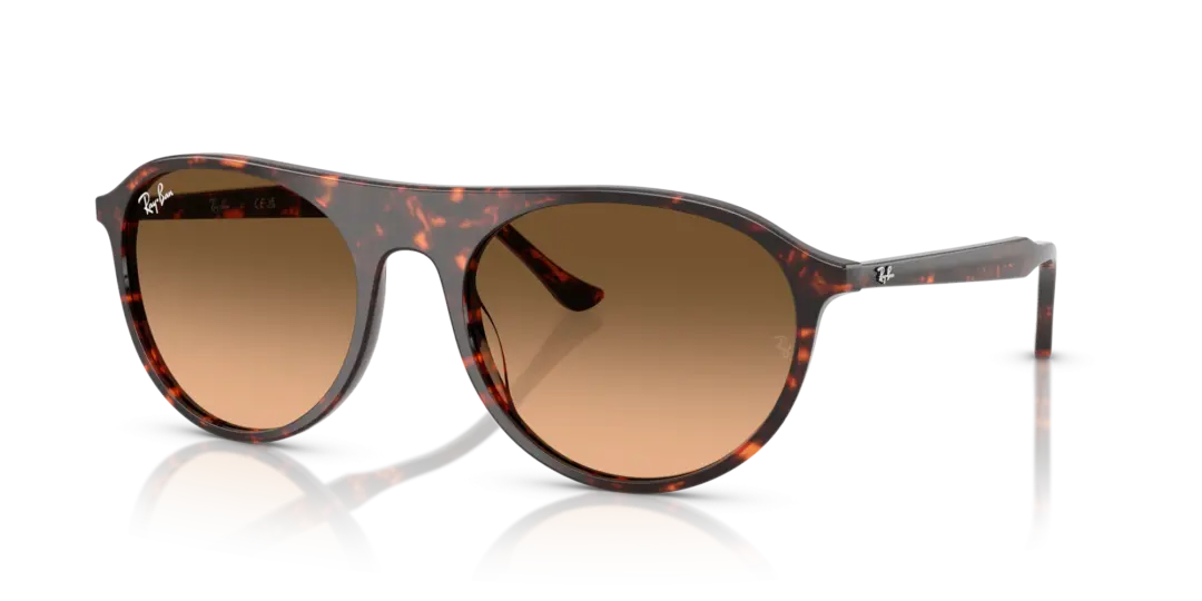 Ray-Ban 0RB2215F 14293B