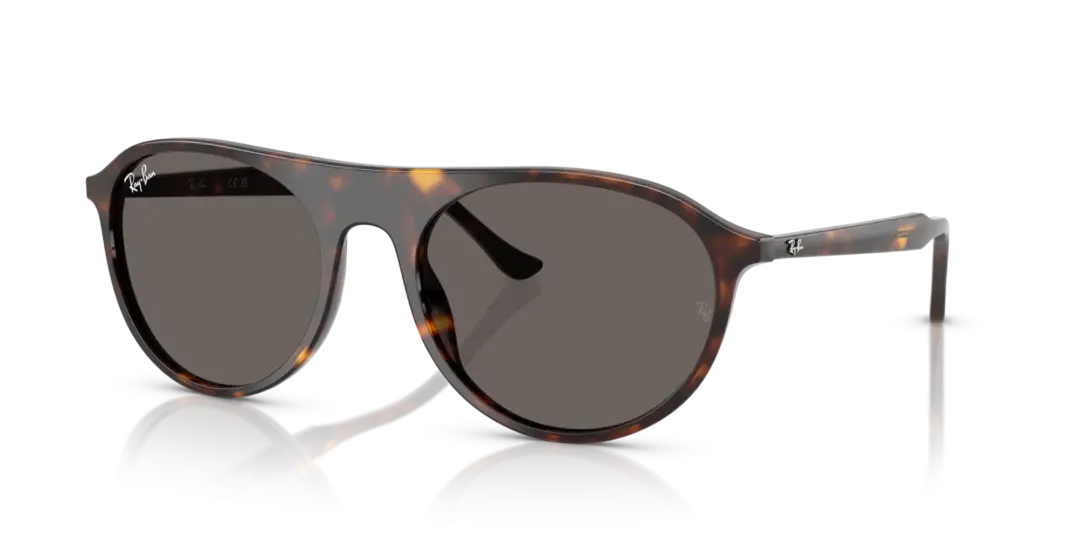 Ray-Ban 0RB2215F 902/B1