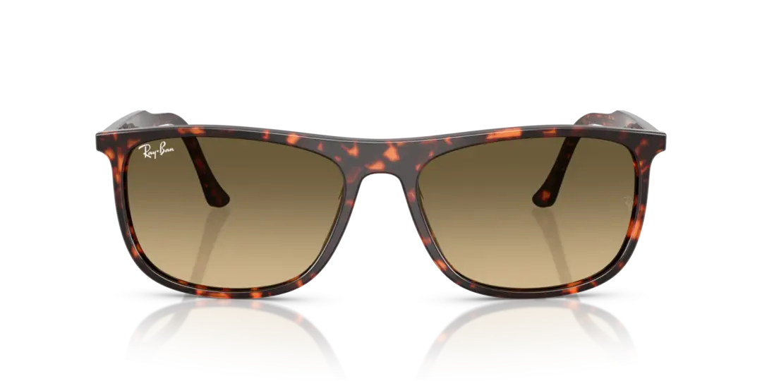 Ray-Ban 0RB2216F 14290A