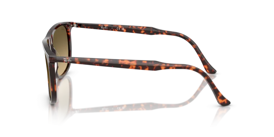 Ray-Ban 0RB2216F 14290A