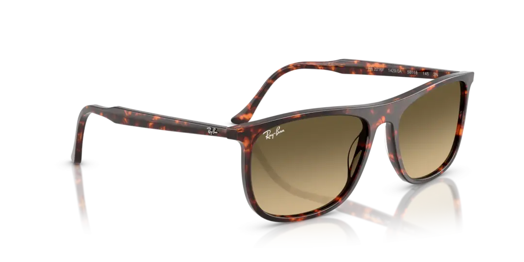 Ray-Ban 0RB2216F 14290A