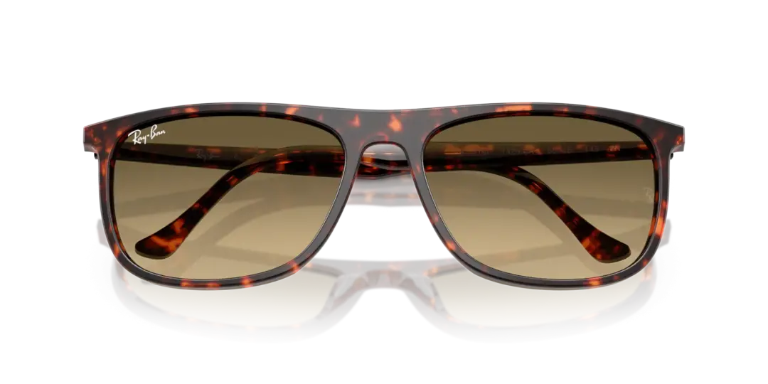 Ray-Ban 0RB2216F 14290A