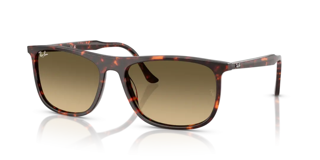 Ray-Ban 0RB2216F 14290A