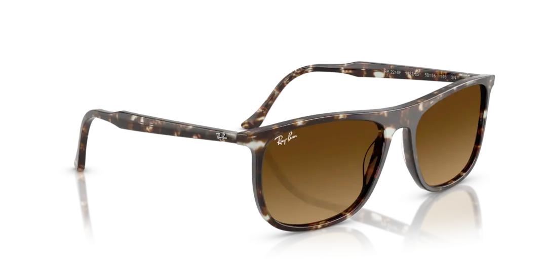 Ray-Ban 0RB2216F 143185