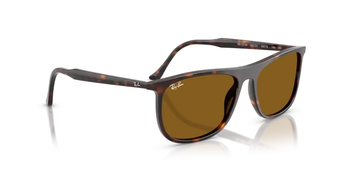 Ray-Ban 0RB2216F 902/33