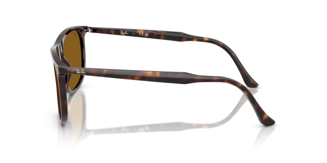 Ray-Ban 0RB2216F 902/33