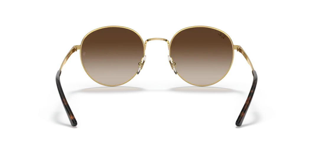 Ray-Ban 0RB3681 001/13