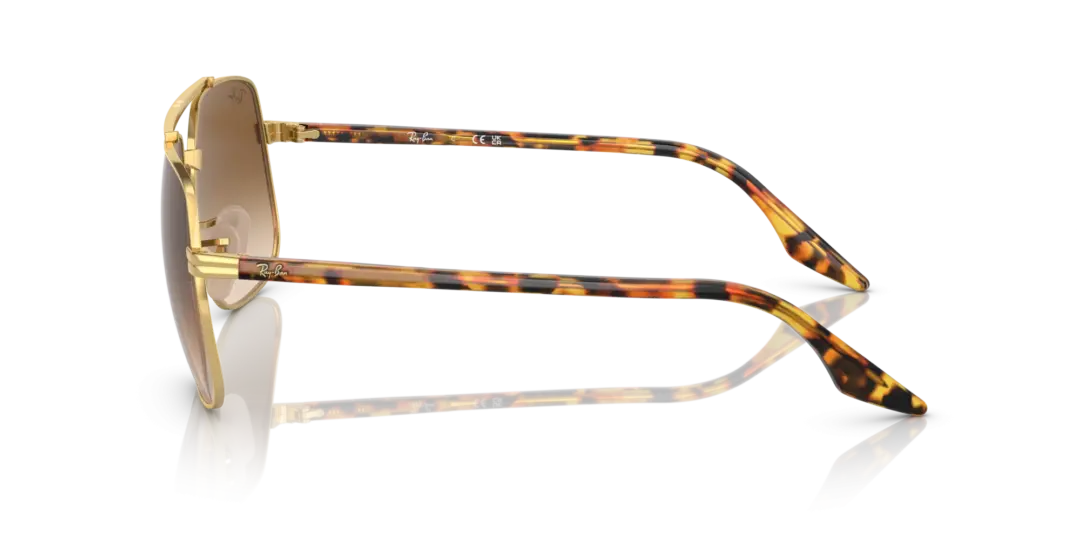 Ray-Ban 0RB3699 001/51