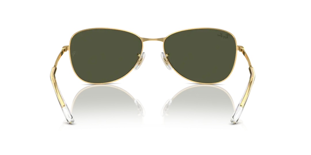 Ray-Ban 0RB3733 001/31