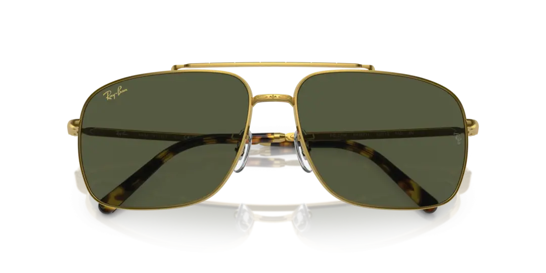 Ray-Ban 0RB3796 919631