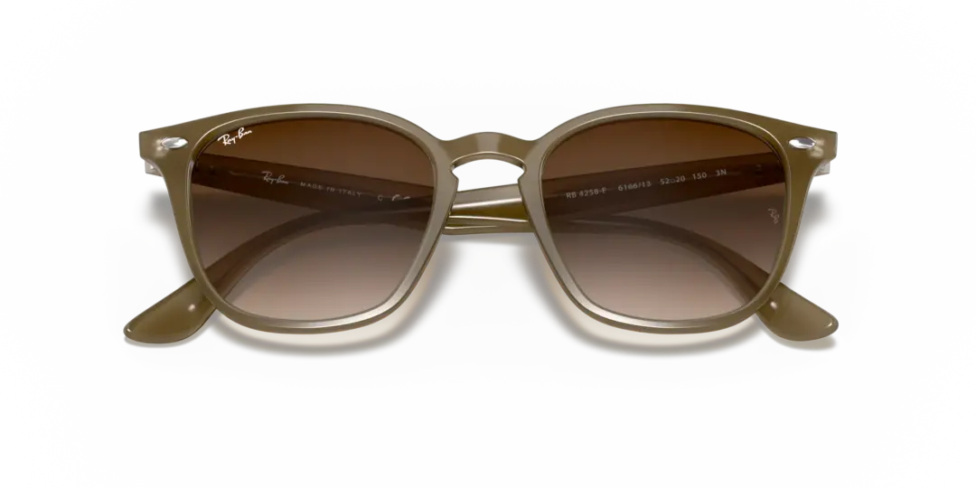 Ray-Ban 0RB4258F 616613