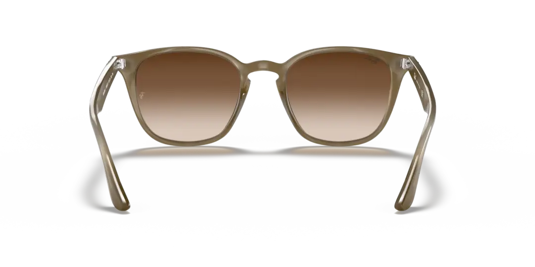 Ray-Ban 0RB4258F 616613